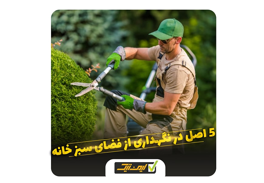 5 اصل در نگهداری از فضای سبز خانه 5 اصل در نگهداری از فضای سبز خانه